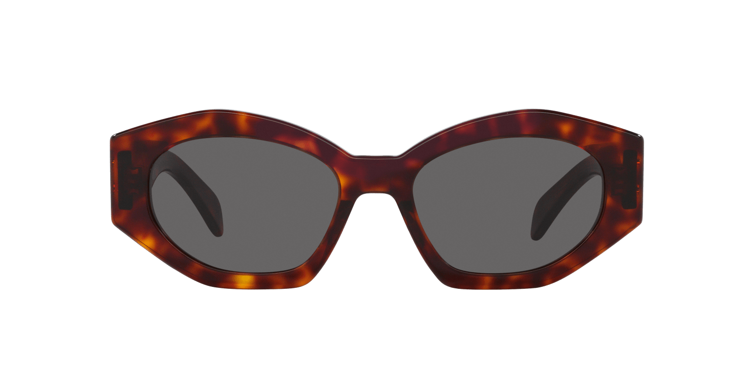 Celine Sunglasses Tortoise Yellow-Blue