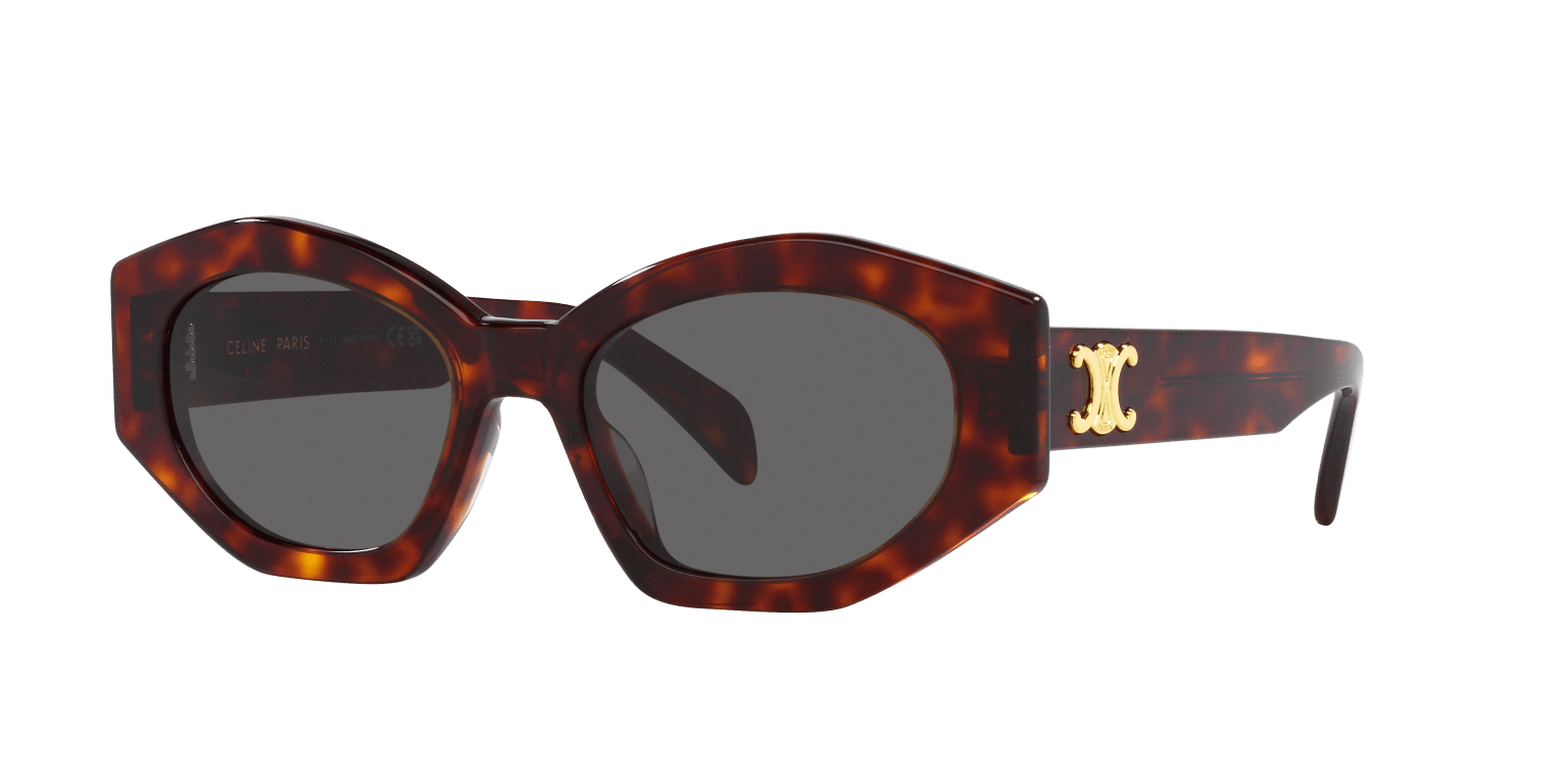 Celine Sunglasses Tortoise Yellow-Blue