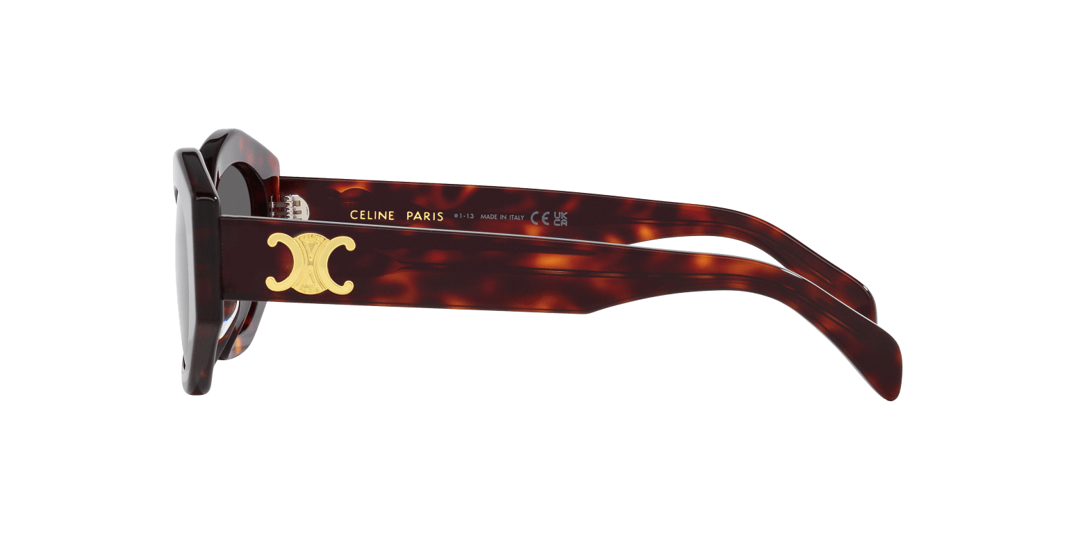 Celine Sunglasses Tortoise Yellow-Blue