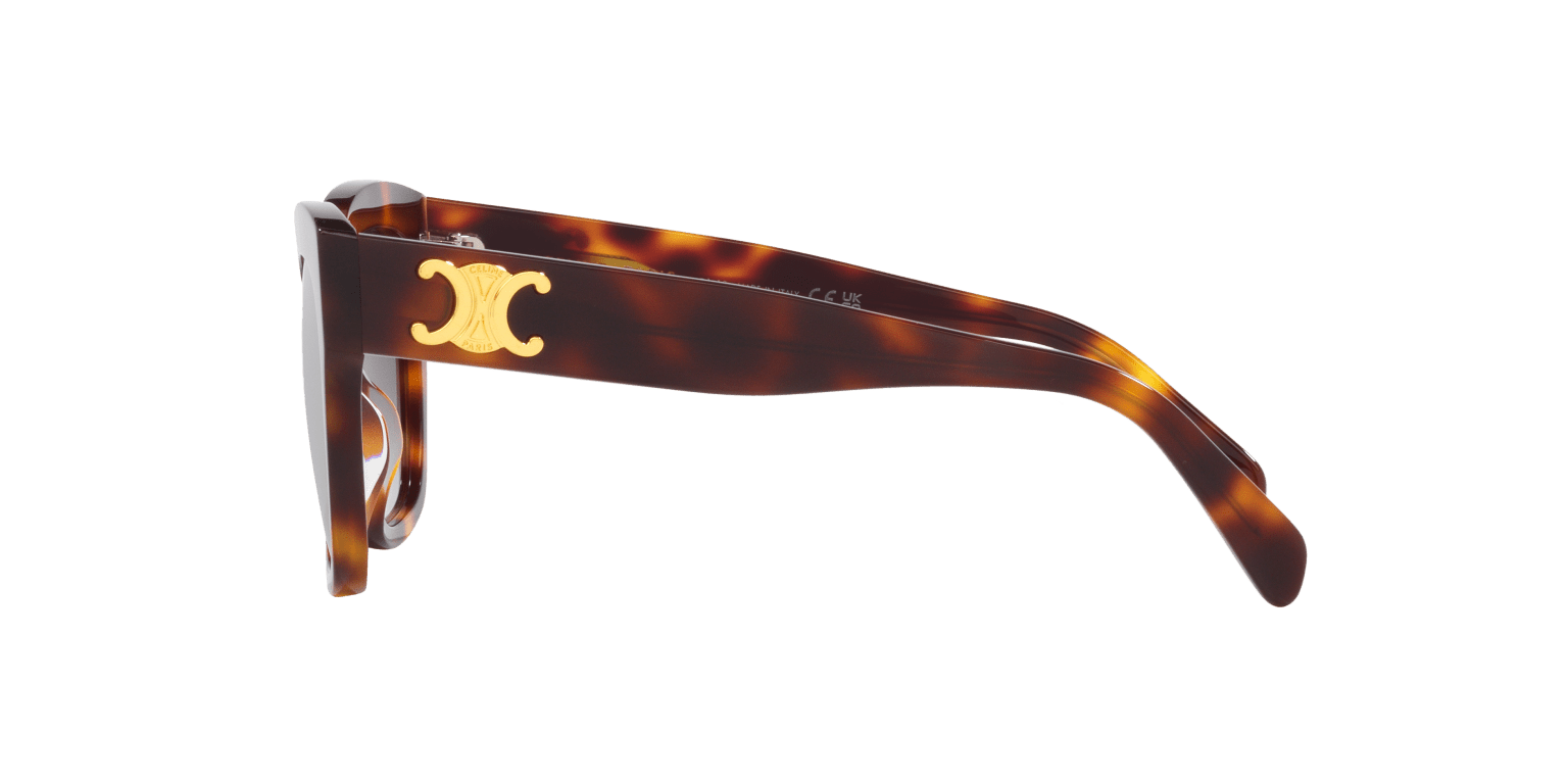 Celine Sunglasses Tortoise-Brown