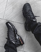 Nike air max plus (édition limitée)