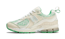 New Balance 2002R GANNI TURTLEDOVE