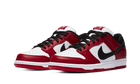 SB DUNK LOW PRO CHICAGO